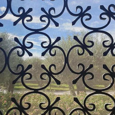 Casa vacanze La Casa Del Giardino Degli Olivi Forte dei Marmi