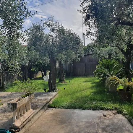 La Casa Del Giardino Degli Olivi