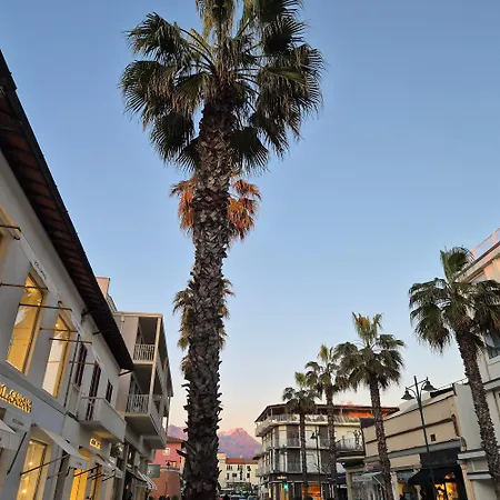 La Casa Del Giardino Degli Olivi 度假居 *