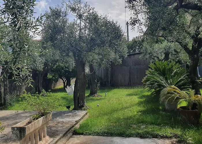 La Casa Del Giardino Degli Olivi