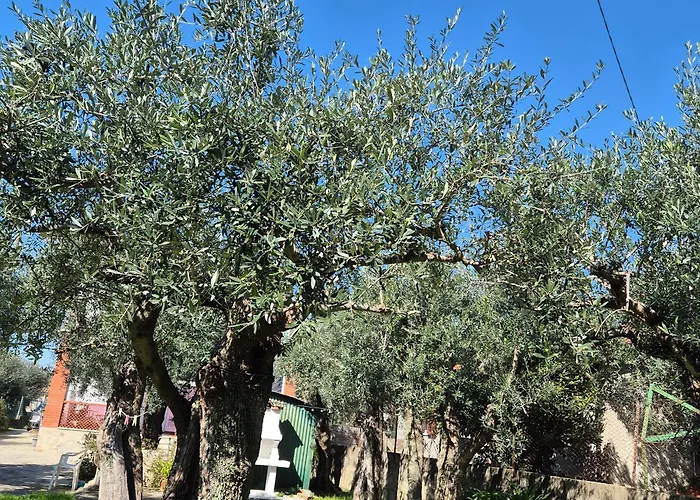 La Casa Del Giardino Degli Olivi 马尔米堡