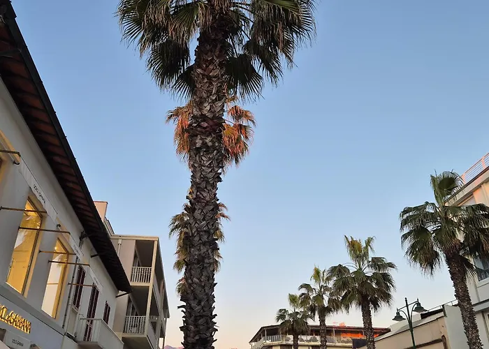 La Casa Del Giardino Degli Olivi 度假居 *