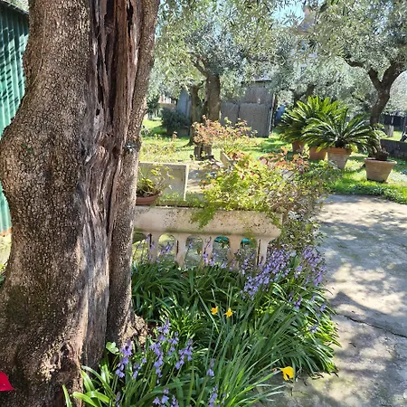 La Casa Del Giardino Degli Olivi Semesterbostad *