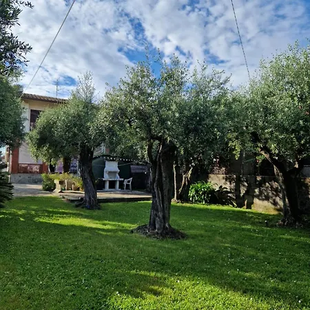 別荘 La Casa Del Giardino Degli Olivi