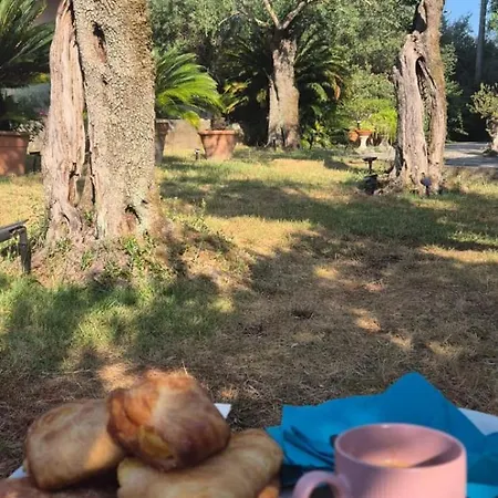 La Casa Del Giardino Degli Olivi بيت للعطل