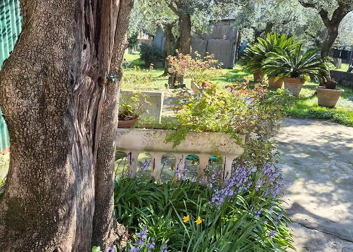 La Casa Del Giardino Degli Olivi Semesterbostad *