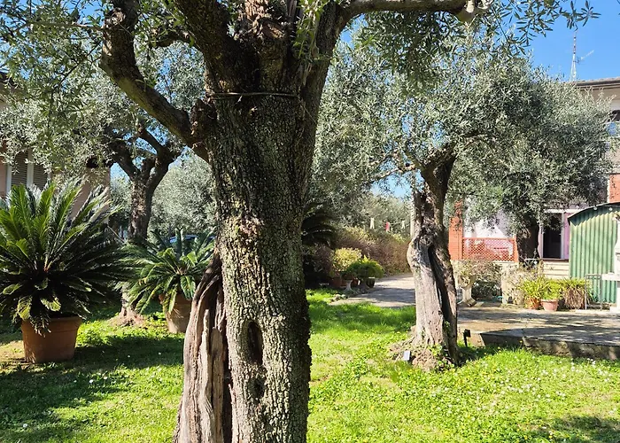 La Casa Del Giardino Degli Olivi *